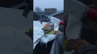 Откорм бычков (Шнек)