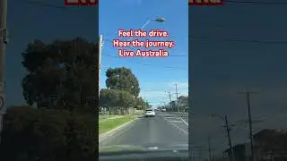 🌞 Australia, the way locals see it&mdash;from the car seat #DrivingVibes #driveaustralia