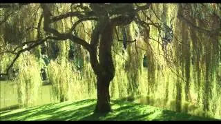 Rolling Lion Studio (Phil Harmony Redub) - Rightfull Ruler Redubbed