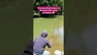 Mancing mahser/lempon di Wonosobo bikin candu goyanganya 😁😁😁