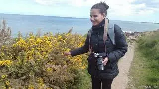 Cherbourg 2025 - Cap Lévi [Walking🚶‍♀️][France 🇫🇷]