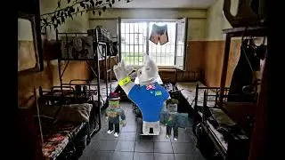 Powracam