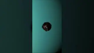 Pluto Crushed by Uranus Simulation