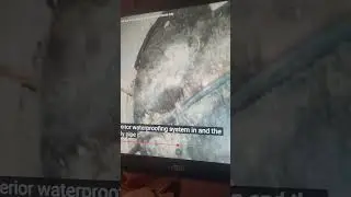 влажные, протекающие, заплесневелые, высолы, блочные стены, осмотр дома