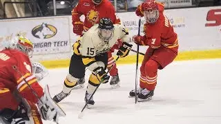 Hockey Highlights - Tech vs. Ferris State - Jan 24, 2020