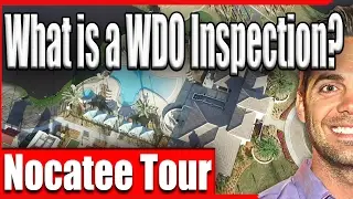 What is a WDO Inspection