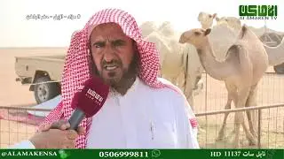 التقرير الأول  من مهرجان ومزاد الإبل في حفر الباطن