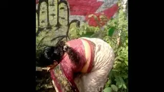 Kottuvally Grama Panchayat Harithakeralam Ward 17