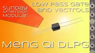 Meng Qi DLPG Introduction
