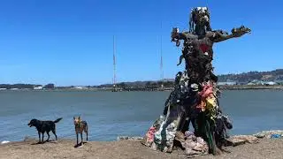 Art, Nature and Humanity at the Albany Bulb
