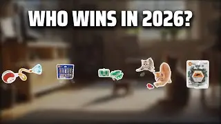 The Top 5 Best Hexbug Cat in 2026 - Must Watch Before Buying!
