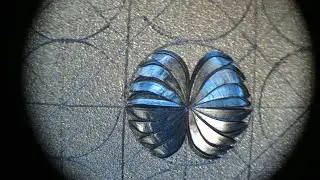 Decoration leaf second half.