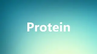 Protein - Medical Meaning and Pronunciation