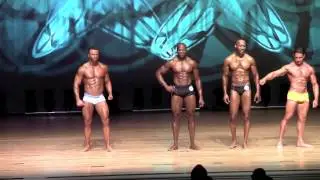 Male Muscle Model