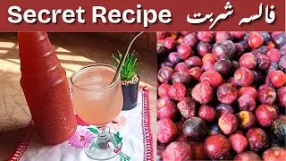 Homemade Falsa Sharbat | Falsa Squash Recipe | Falsa Juice | Summer Drink