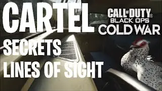 Cartel Secrets, and Lines of Sight!! - Black Ops Cold War
