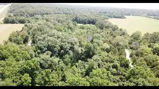 Fantastic 11+ Wooded Acres in Howell County, MO for sale.
