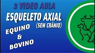 OSTEOLOGIA DE ESQUELETO AXIAL (SEM O CRÂNIO) EQUINO-BOVINO