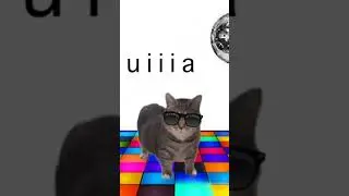 Apt. kucing akmal version
