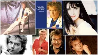 David Cassidy ft. Basia - Romance (Let Your Heart Go) LYRICS