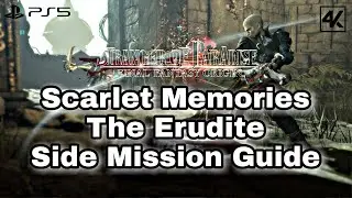 Stranger of Paradise Final Fantasy Origin ~ Scarlet Memories The Erudite Side Mission Guide