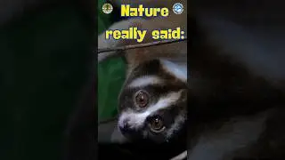 Do NOT Pet This 
