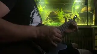 Guitarjam on unknown Tone ;) - 