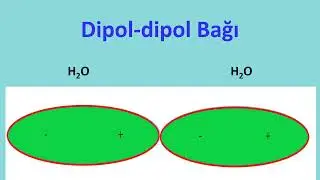 DIPOL-DIPOL GARDEN