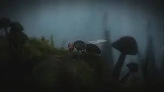 The Plan Full Walkthrough (No Commentary)