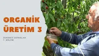 Zehirsiz Sofralar 7. Bölüm - Organik Üretim - 3 (Nihat Fırat & Muzaffer Kul & İhsan Parlak)