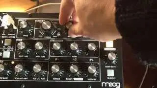 Hirlostek - self powered white noise source for your Moog&copy; Minitaur