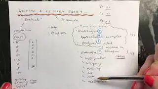 How to write a 25 mark essay question - the basics