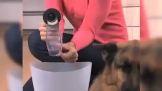 🔴 Pet Groom - Многофункциональный девайс для вычесывания шерсти