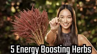 5 Herbs That Will Supercharge Your Energy Instantly