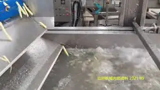 french fries sorting machine small size fries sorter +86 13213202305