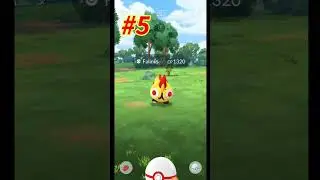 How Many Raids Before Falinks Shines ?? | Falinks Raid Day Pokemon Go |
