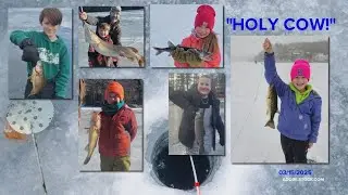Big Ol' Fish: 