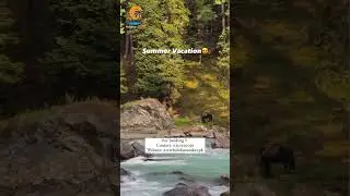 Travelling in nature😍 #holidaymaker #travel #visa #nature