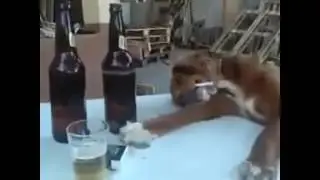 Riete y ver&aacute;s que