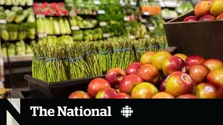Inflation rate falls slightly but food, rent costs still climbing