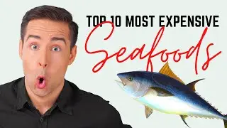 Top 10 Most Expensive Seafood Dishes In The World