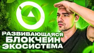 IMPT - Платформа выдает углеродные квоты как NFT. Для чего это НУЖНО?