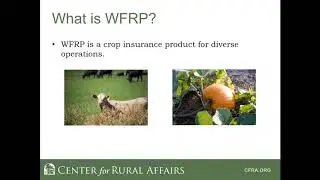 Insurance option for Midwest tree and nut orchards