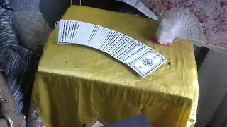 СОЛНЕЧНОЕ ЗАТМЕНИЕ В СКОРПИОНЕ; ТЕЛЕЦ И ДВЕНАДЦАТЬ ДОМОВ
