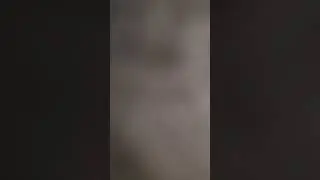 Sneezing from yellow flowers.