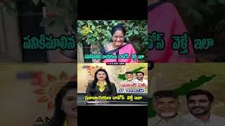 See Difference Between ycp party leaders & tdp party leaders In Davos Tour | #chandrababu #ysjagan