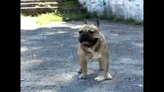 Tokado 3