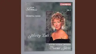 5 Lieder, Op. 39, TrV 189: IV. Befreit (Version for Orchestra)