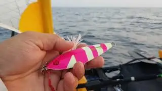 יציאה לים התיכון, הסברים על דייג.
