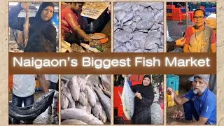 Naigaon&rsquo;s Biggest Fish Market Tour 🦐 | Fresh Seafood at Shocking Prices! 😍 